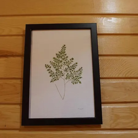 Lycia Nature House Szálloda Çıralı