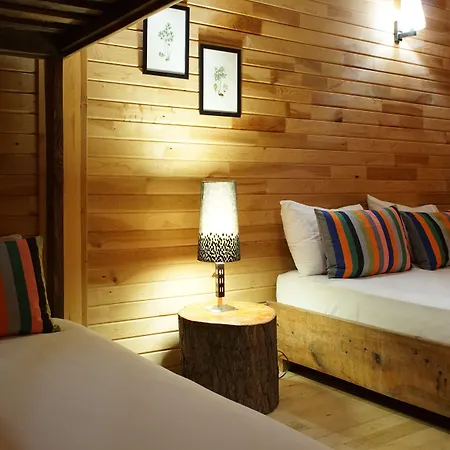 Lycia Nature House ホテル