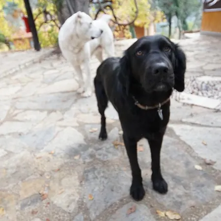 Szálloda Lycia Nature House 2*