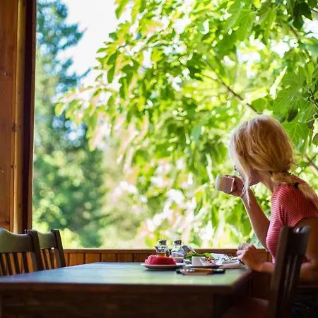 Lycia Nature House ホテル