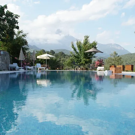 Lycia Nature House 2*