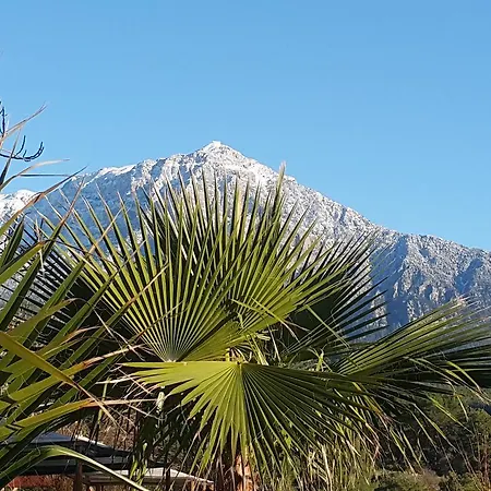 Lycia Nature House