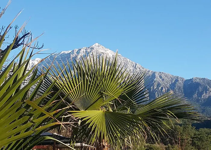 Lycia Nature House
